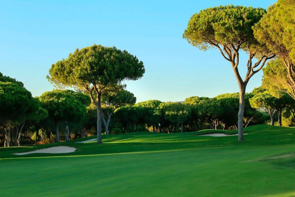 Fairway d'un golf de l'Algarve bordé de pins parasols et de bunkers