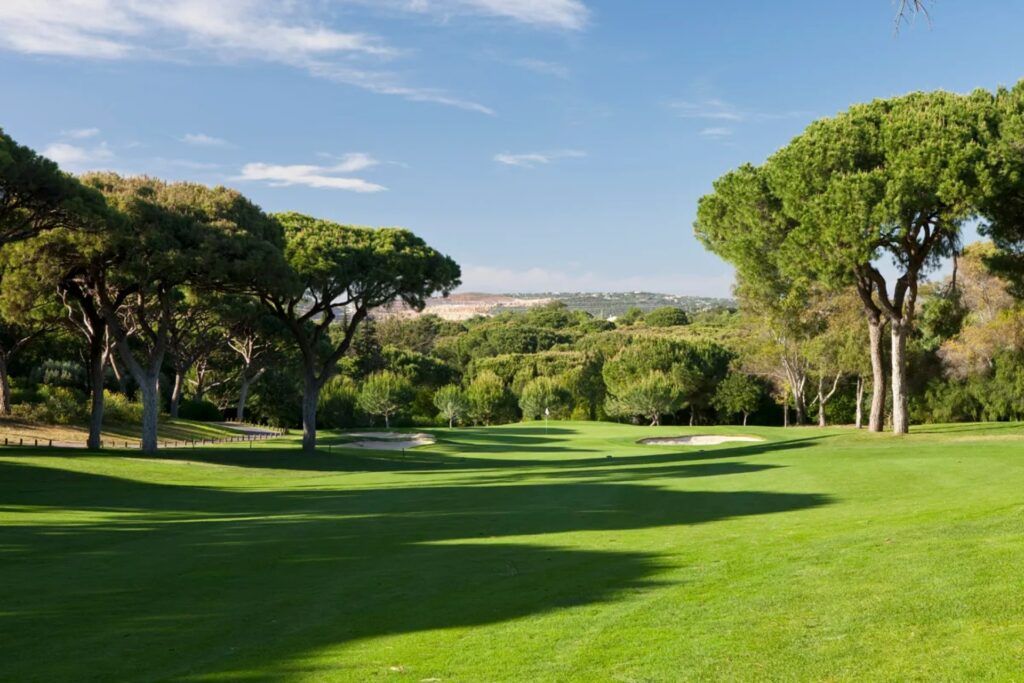Fairway ombragé par des pins parasols, bunkers au loin
